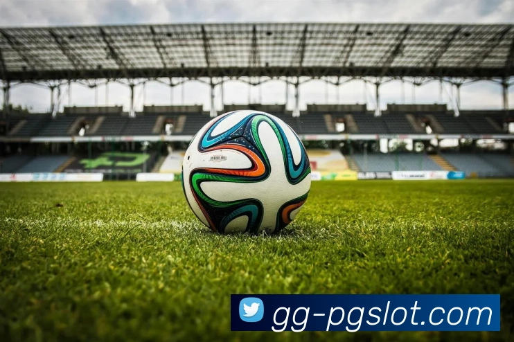 森林舞会官网服务体系